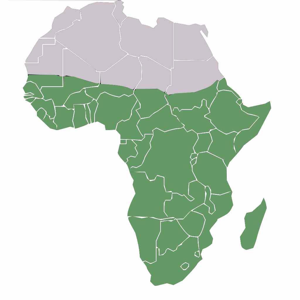 Afrique subsaharienne