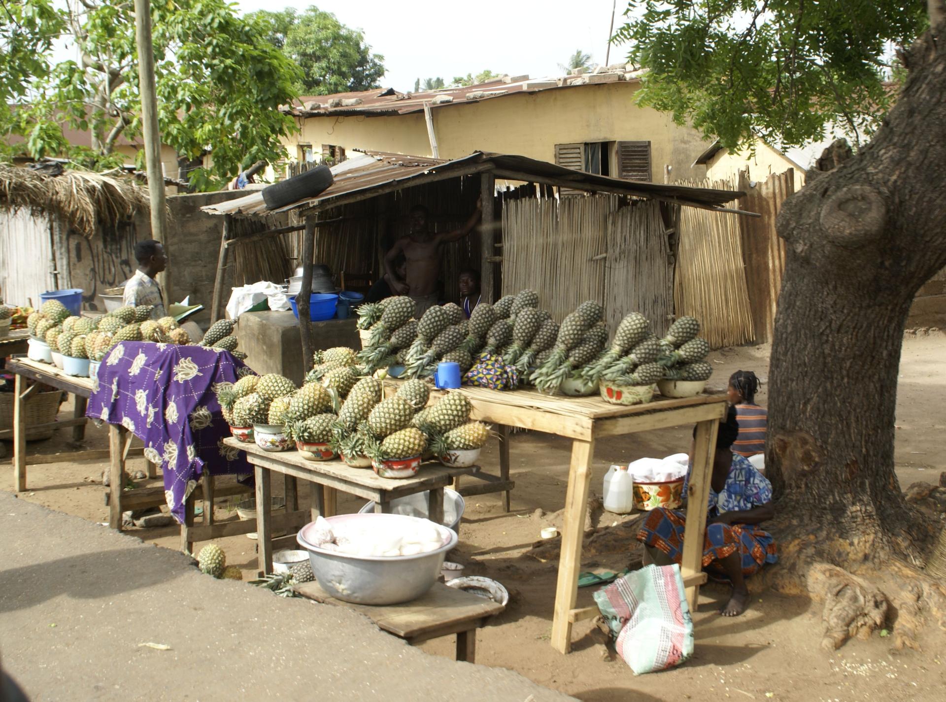 Ananas dans la rue